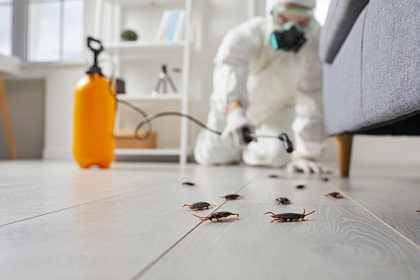 Commercial Kitchen Cockroach Control in Hartington